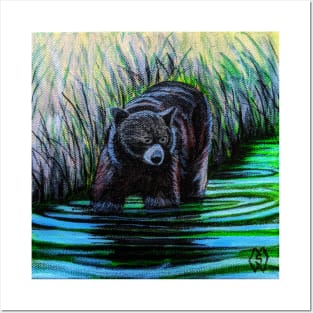 Bear Reflections Posters and Art